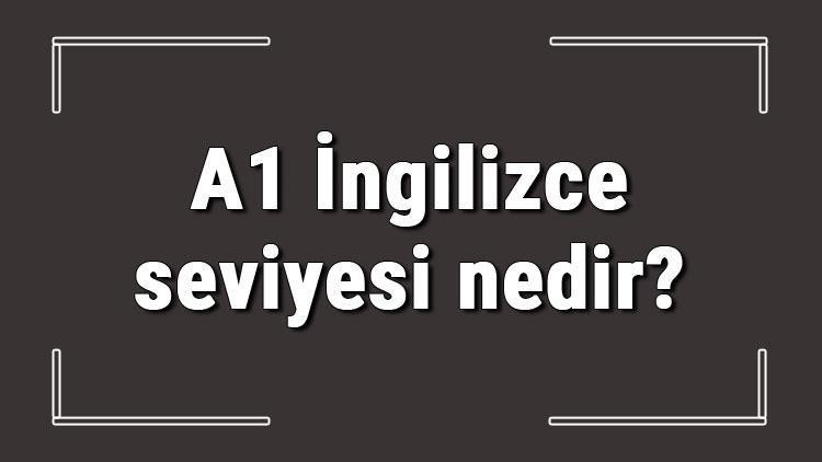 A1 İngilizce seviyesi nedir A1 İngilizce konuları ve hakkında bilgi