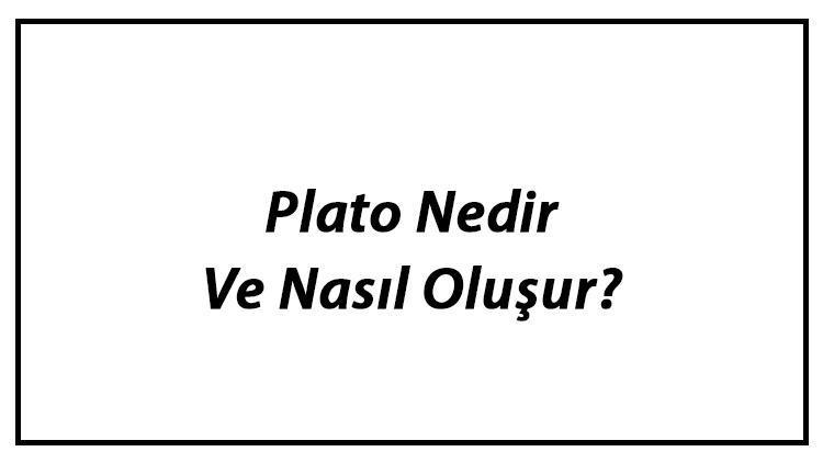 Plato Nedir Ve Nasıl Oluşur Plato Çeşitleri Ve Özellikleri Hakkında Bilgi