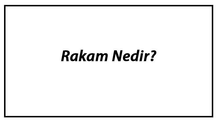 Rakam Nedir Rakamların Kümesi Ve Sayılar İle Arasındaki Fark