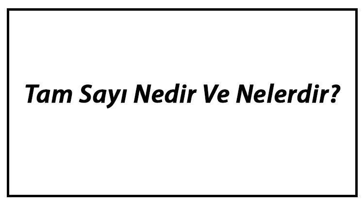 Tam Sayı Nedir Ve Nelerdir Tam Sayılar Örnekleri Ve Konu Anlatımı