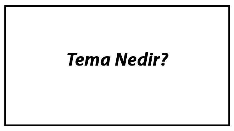 Tema Nedir Anlatımda Tema Örnekleri Ve Özellikleri Konu Anlatımı