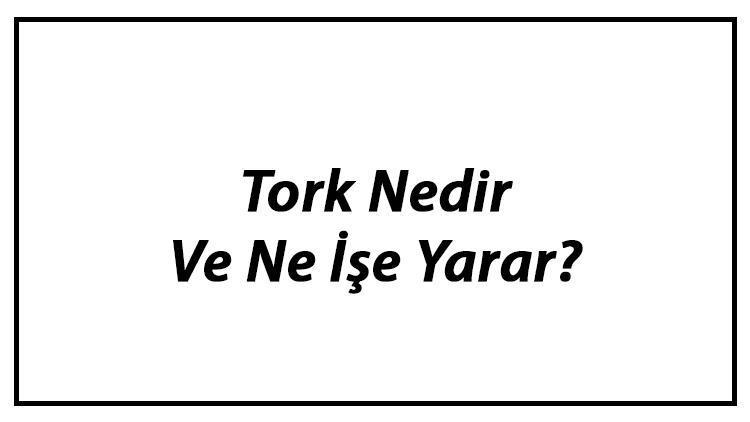 Tork Nedir Ve Ne İşe Yarar Araba Motorundaki Torkun Anlamı