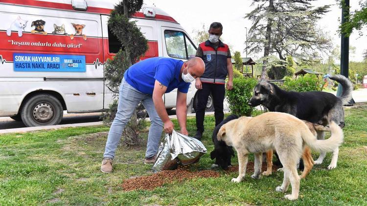 Sokak hayvanları unutulmadı