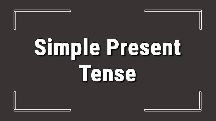 Simple Present Tense (İngilizce geniş zaman) olumlu, olumsuz ve soru cümleleri ile alıştırmalı konu anlatımı