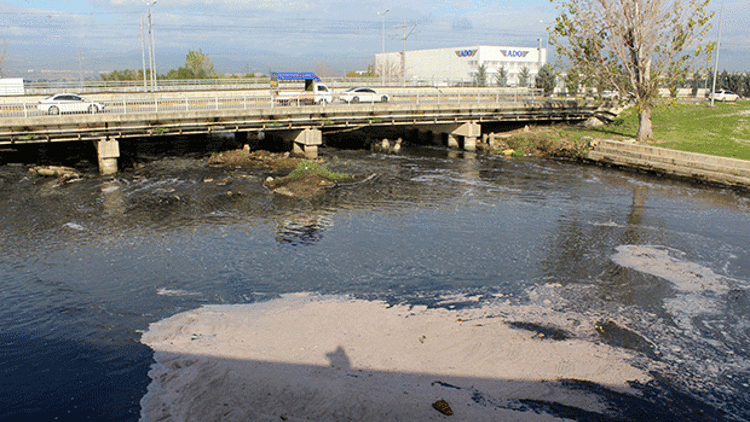 SKANDAL DOĞRULANDI