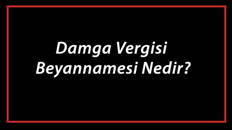 Damga Vergisi Beyannamesi Nedir, Nasıl Ve Ne Zaman Verilir