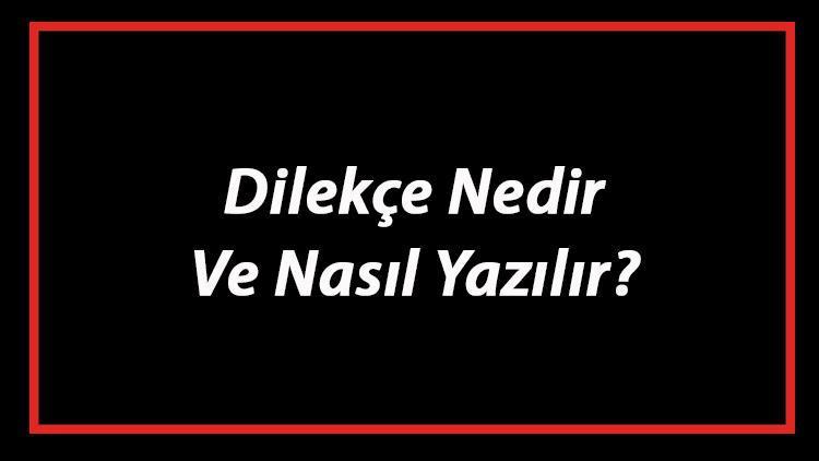 Dilekçe Nedir Ve Nasıl Yazılır Dilekçe Yazım Kuralları Ve Örnekleri