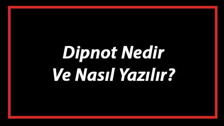 Dipnot Nedir Ve Nasıl Yazılır Dipnot Yazım Kuralları Ve Örnekleri