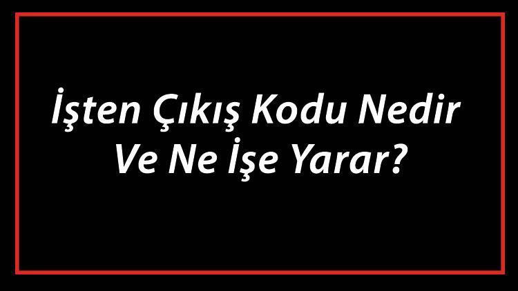 İşten Çıkış Kodu Nedir Ve Ne İşe Yarar İşten Çıkış Kodları Neler