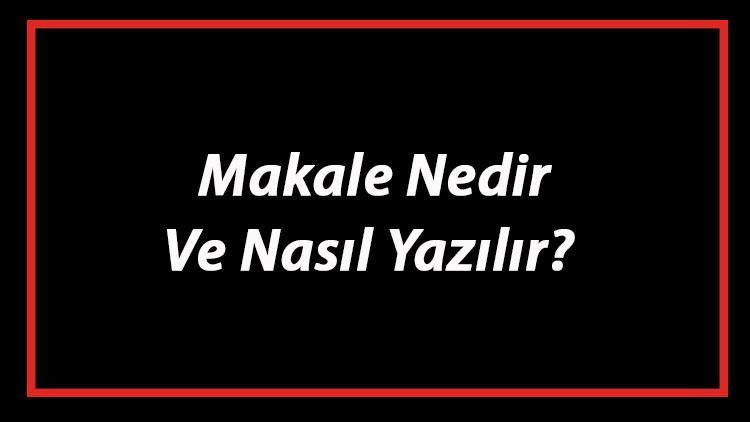 Makale Nedir Ve Nasıl Yazılır Makale Yazım Kuralları Ve Örnekleri