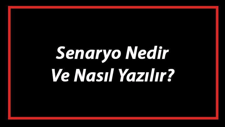 Senaryo Nedir Ve Nasıl Yazılır Senaryo Yazım Kuralları Ve Örnekleri