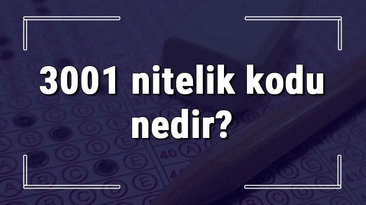 3001 nitelik kodu nedir KPSS 3001 nitelik kodu özel şartı ne işe yarar