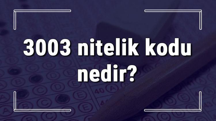 3003 nitelik kodu nedir KPSS 3003 nitelik kodu özel şartı ne işe yarar