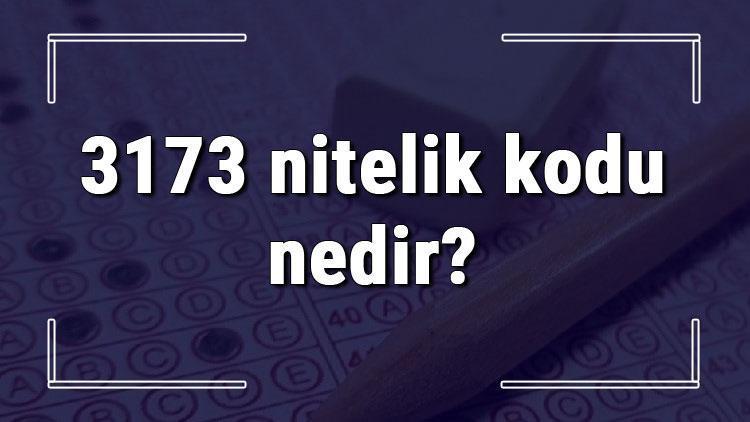 3173 nitelik kodu nedir KPSS 3173 nitelik kodu özel şartı ne işe yarar