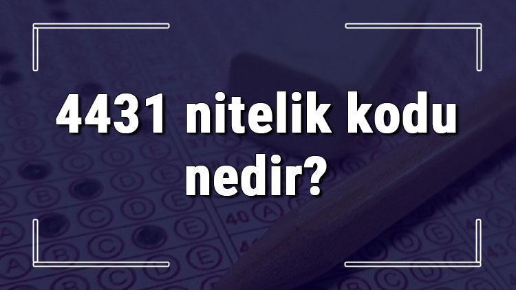 4431 nitelik kodu nedir KPSS 4431 nitelik kodu özel şartı ne işe yarar