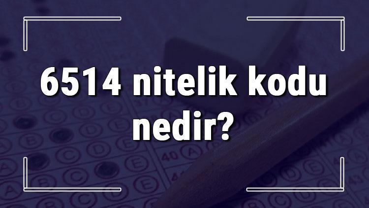 6514 nitelik kodu nedir KPSS 6514 nitelik kodu özel şartı ne işe yarar