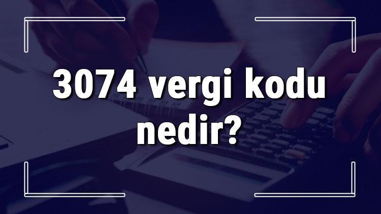 3074 vergi kodu nedir Özel usulsüzlük cezası ödeme işlemi