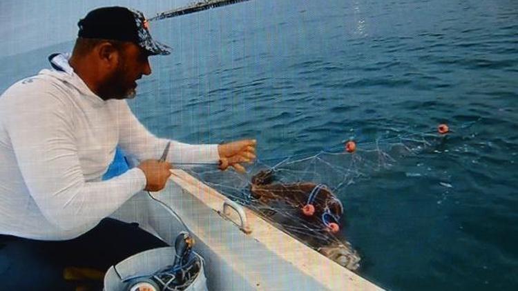 Caretta carettayı ’Tamam gülüm’ diyerek kurtardı