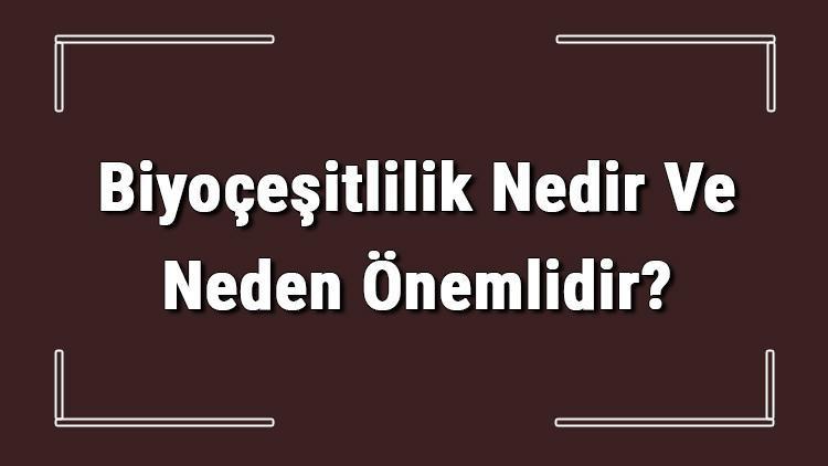 Biyoçeşitlilik Nedir Ve Neden Önemlidir Biyoçeşitliliği Etkileyen Faktörler