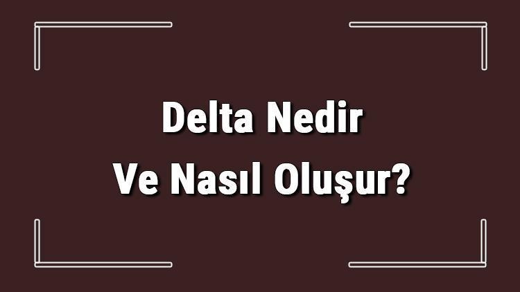 Delta Nedir Ve Nasıl Oluşur Delta Oluşabilmesi İçin Gerekli Koşullar Ve Türkiyedeki Deltalar