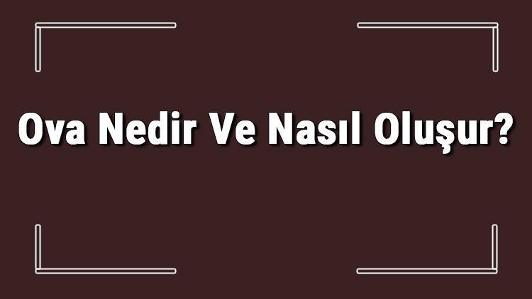 Ova Nedir Ve Nasıl Oluşur Ova Oluşabilmesi İçin Gerekli Koşullar Ve Türkiyedeki Ovalar