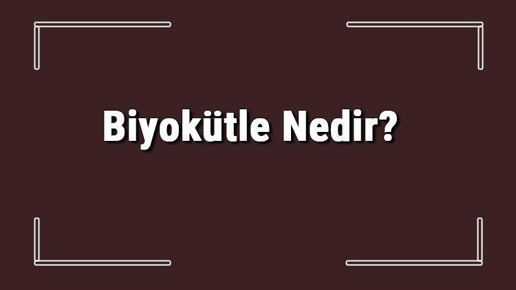 Biyokütle Nedir Biyokütle Kaynakları Hakkında Bilgi