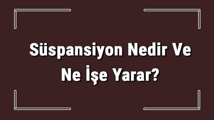 Süspansiyon Nedir Ve Ne İşe Yarar Araçlarda Süspansiyon Sistemi Hakkında Bilgi