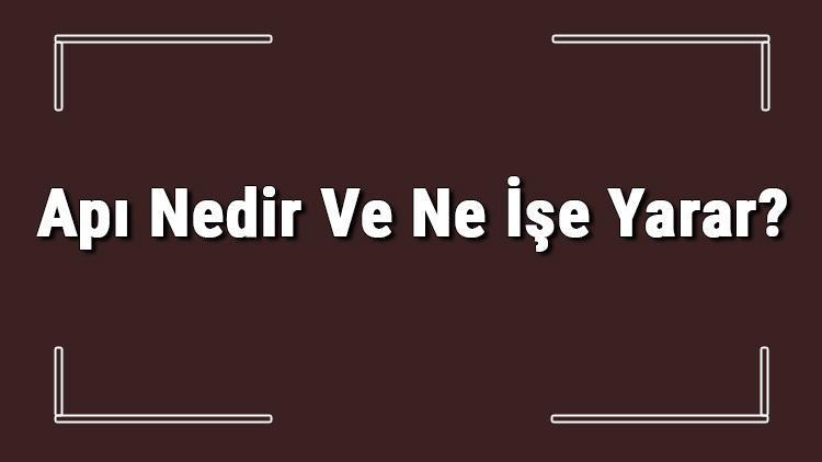 Apı Nedir Ve Ne İşe Yarar Apı Açılmı Nasıldır Ve Apı Nasıl Yazılır