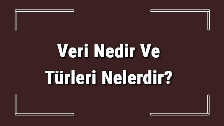 Veri Nedir Ve Türleri Nelerdir Veri Nasıl Kullanılır