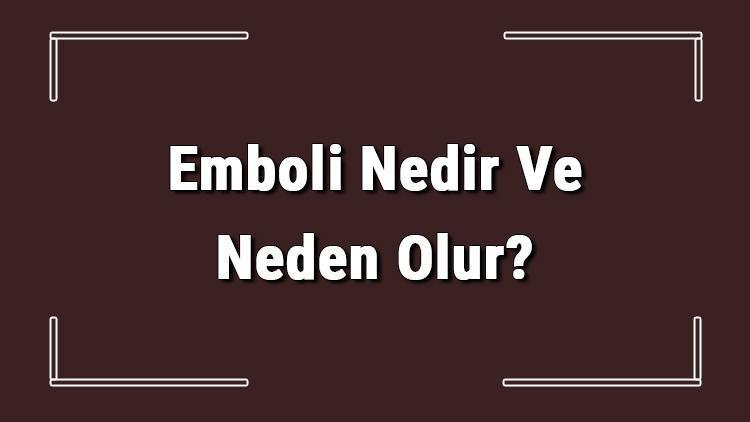 Emboli Nedir Ve Neden Olur Emboli Nedenleri, Belirtileri Ve Tedavisi Hakkında Bilgi