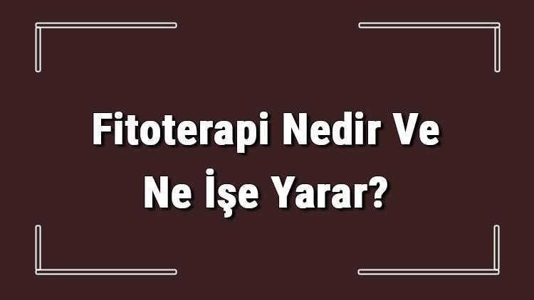 Fitoterapi Nedir Ve Ne İşe Yarar Fitoterapi Nasıl Yapılır Ve Uygulanır