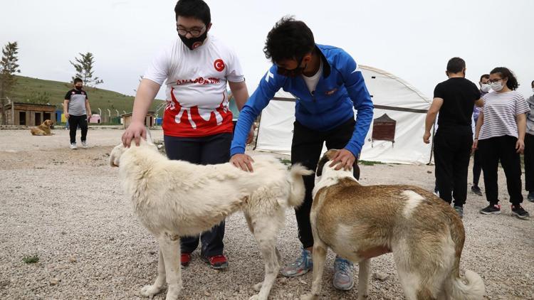 Hayvanları besleyip uçurtma uçurdular