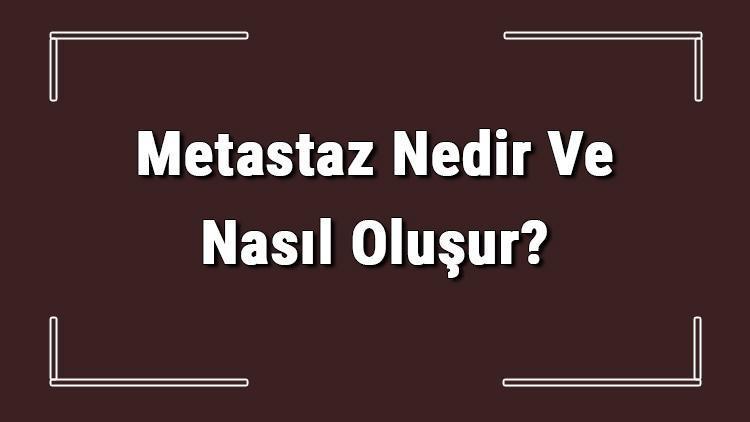 Metastaz Nedir Ve Nasıl Oluşur Metastaz Belirtileri Nelerdir