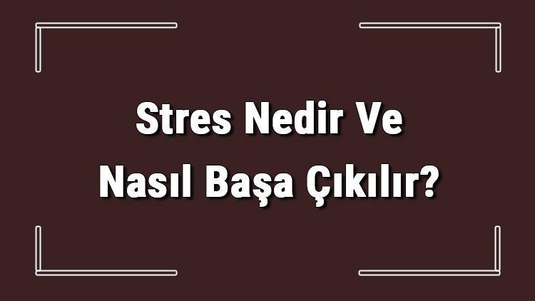 Stres Nedir Ve Nasıl Başa Çıkılır Stresin Zararları Ve Vücuda Etkileri