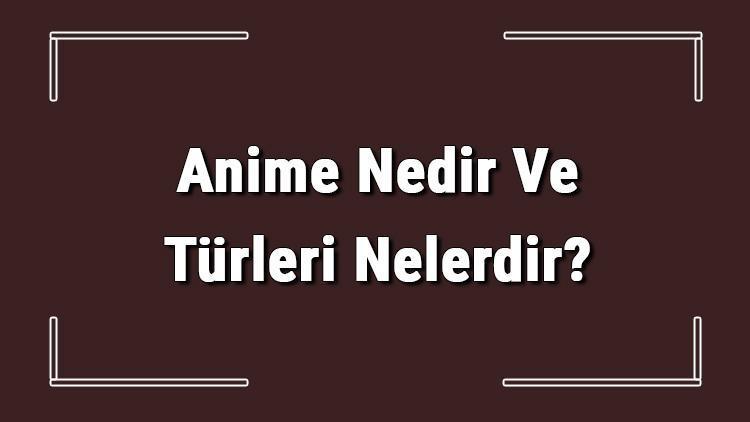 Anime Nedir Ve Türleri Nelerdir Anime Nasıl Yapılır Ve Animeler Hakkında Bilgi