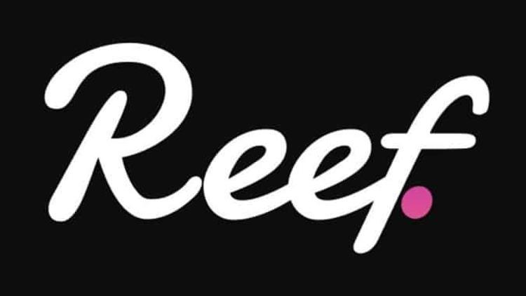 Reef coin nedir, ne zaman çıktı