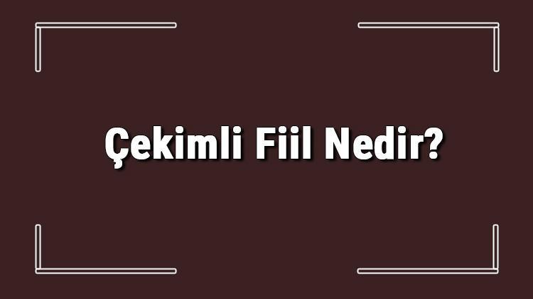 Çekimli Fiil Nedir Çekimli Fiil Örnekleri Ve Konu Anlatımı