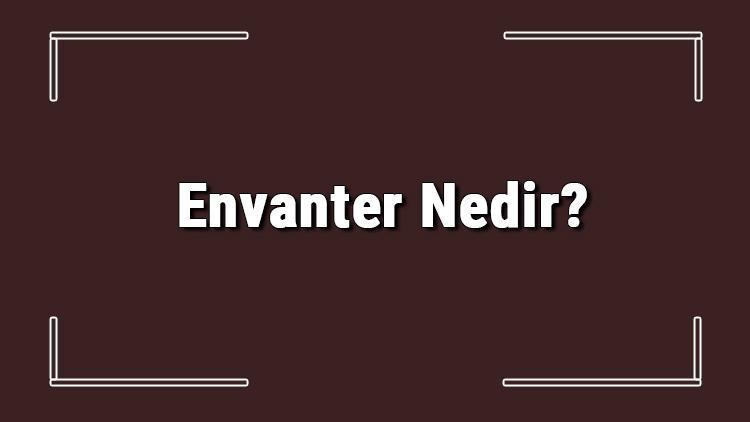 Envanter Nedir Envanter Tanımı, Envanter Çıkarma İle Envanter Çıkarma Aşamaları