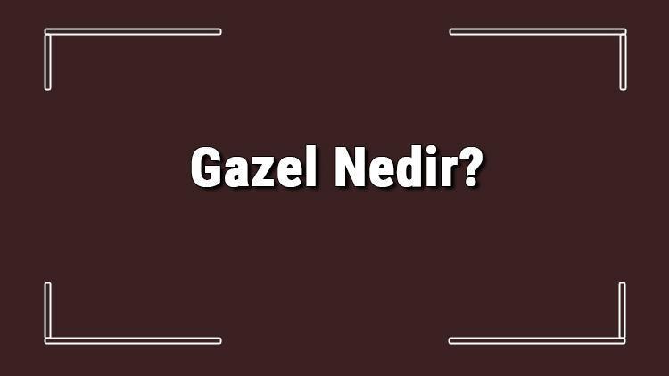 Gazel Nedir Gazel Türleri, Örnekleri Ve Özellikleri Hakkında Bilgi