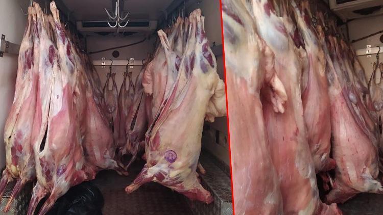 Adanada kaynağı belli olmayan 2 ton et ele geçirildi