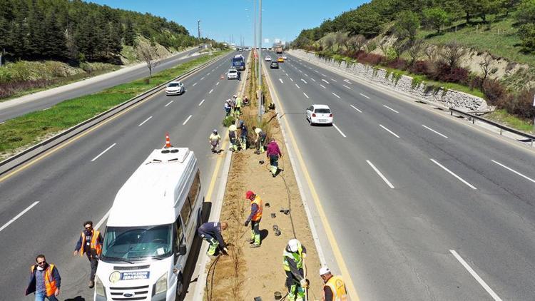 5 kilometreye 150 bin çiçek