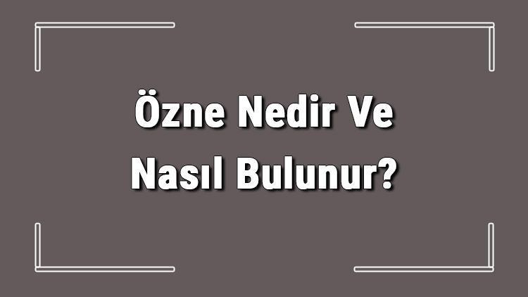 Özne Nedir Ve Nasıl Bulunur Özne Çeşitleri, Örnekleri Ve Yüklem İlişkisi Konu Anlatımı