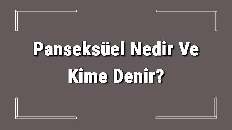 Panseksüel Nedir Ve Kime Denir