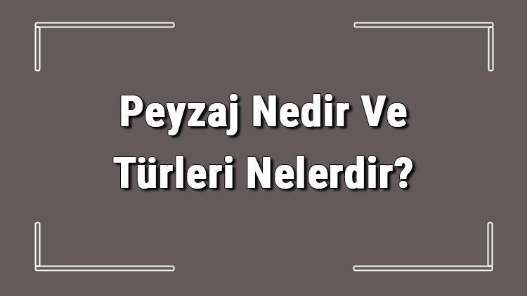 Peyzaj Nedir Ve Türleri Nelerdir Peyzaj Hangi Alanlarda Kullanılır