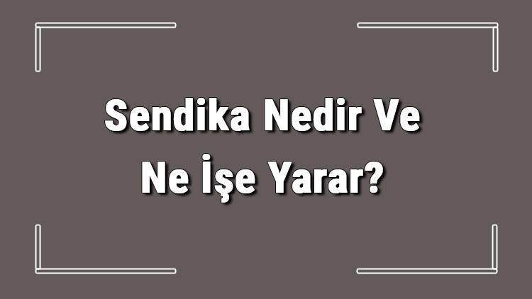 Sendika Nedir Ve Ne İşe Yarar Sendika Görevleri Hakkında Bilgi