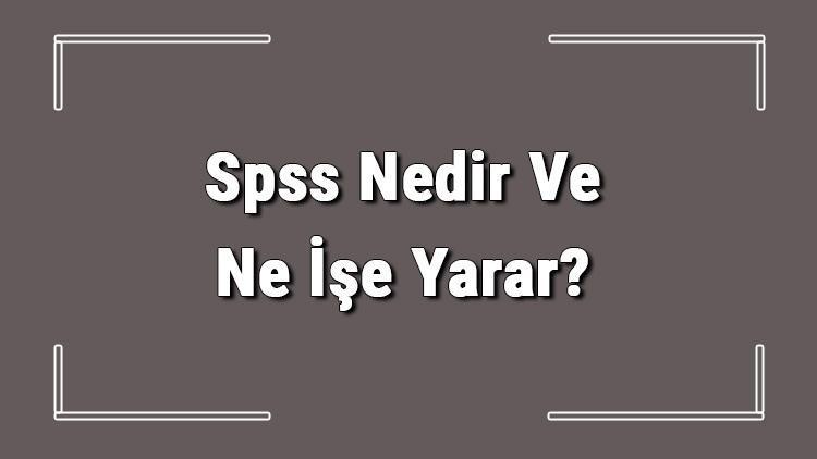 Spss Nedir Ve Ne İşe Yarar Spss Nasıl Kullanılır