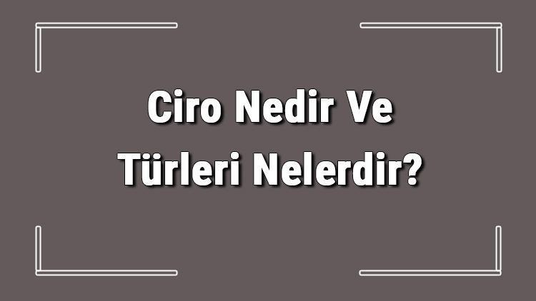 Ciro Nedir Ve Türleri Nelerdir Ciro Nasıl Hesaplanır