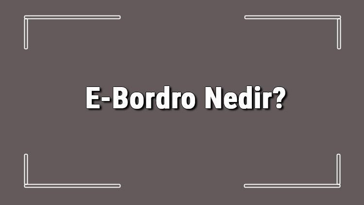 E-Bordro Nedir Kimler E-Bordro Alabilir