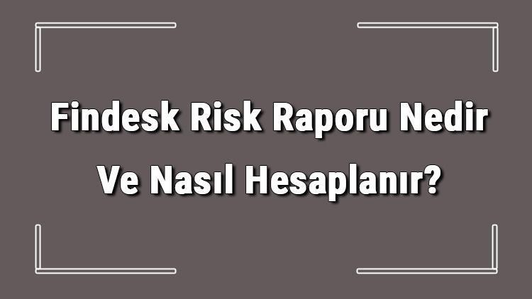 Findesk Risk Raporu Nedir Ve Nasıl Hesaplanır