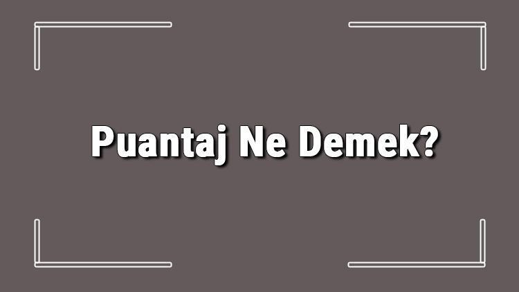 Puantaj Ne Demek Puantaj Cetveli Nedir Ve Nasıl Doldurulur